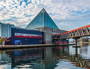 (business case) listing image - aquatic treasures  Sustainable partnership with veolia helps to cool aquatic treasures